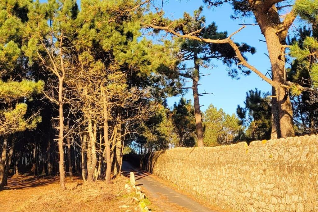 Itacahomes Casa Noro 리베이라 외부 사진